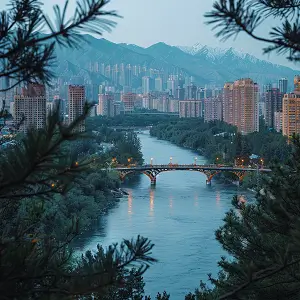 企业铂金怎么升